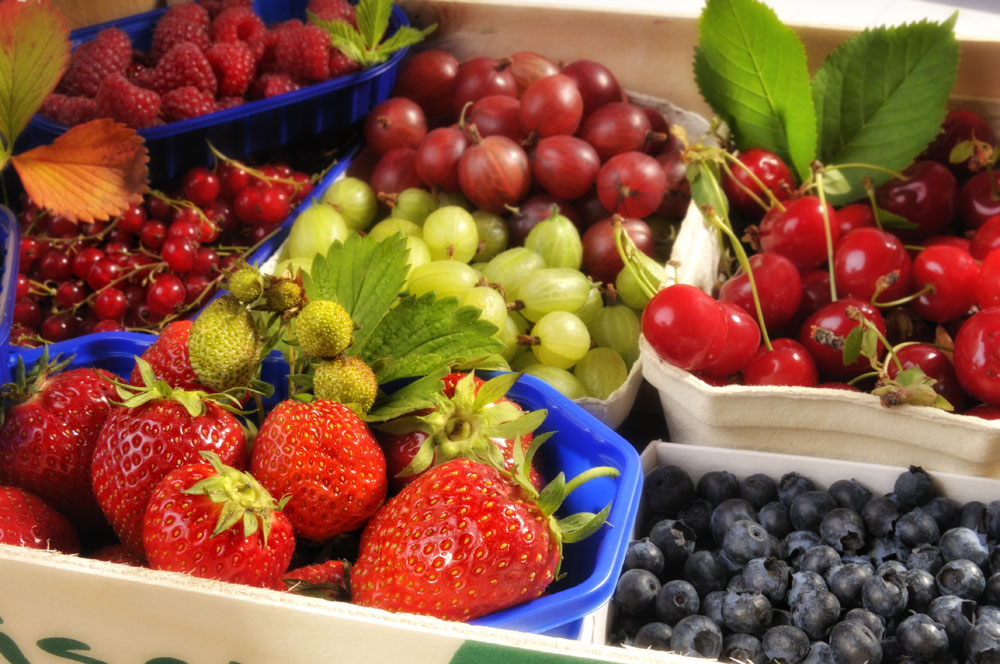 ENTÉRATE SI LAS FRUTAS SON BUENAS O MALAS PARA LA SALUD